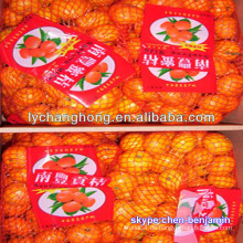 Chinesisch frische Orange / Ananas Zitrusfrucht